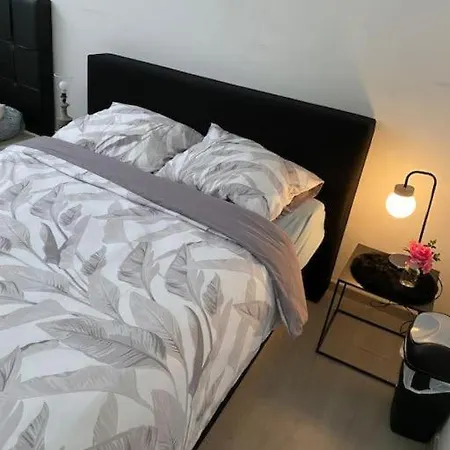Big Private In The Heart Of * Antwerp